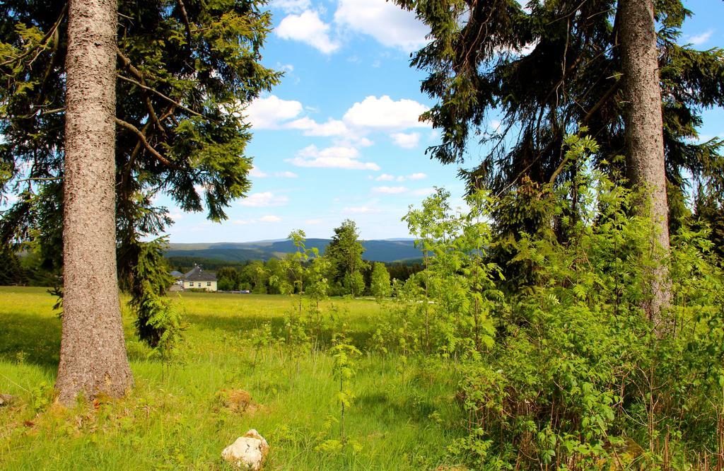 Landhaus Sonnentau Johanngeorgenstadt Luaran gambar